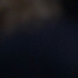 Meet your Posher, Winnie